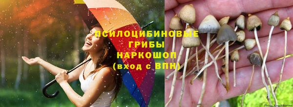 амф Алзамай