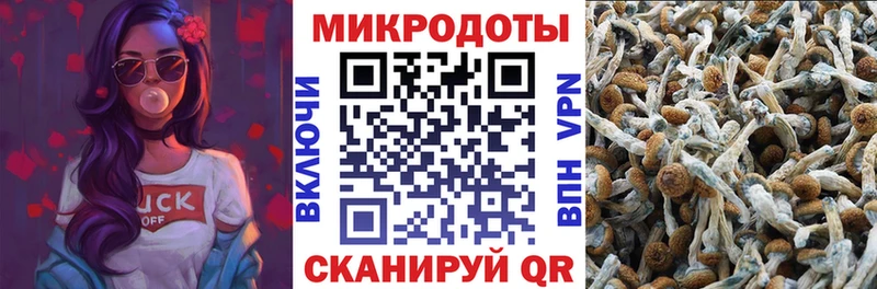 Галлюциногенные грибы MAGIC MUSHROOMS  наркота  Клинцы 