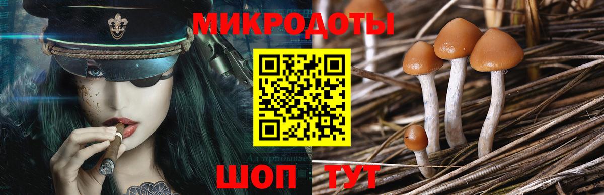 Галлюциногенные грибы Cubensis Клинцы