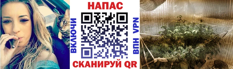 МАРИХУАНА VHQ  Клинцы 
